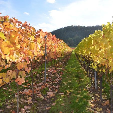 Ferienweingut Gansen / Hochgenuss 1 Διαμέρισμα Ernst Εξωτερικό φωτογραφία